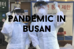 Pandemic in Busan